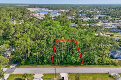 Terreno en venta en Palm Coast, Florida № 1658345 - foto 1