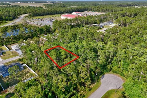 Terreno en venta en Palm Coast, Florida № 1658345 - foto 4