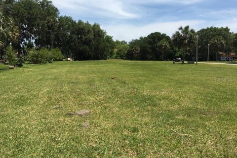 Land in Palm Coast, Florida № 1919560 - photo 5