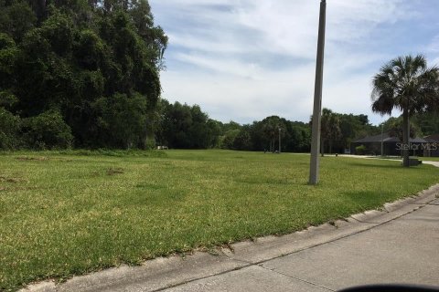 Land in Palm Coast, Florida № 1919560 - photo 4