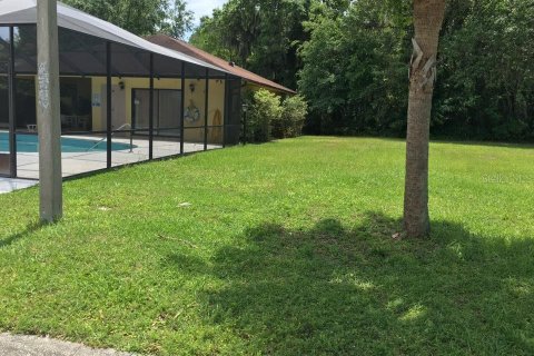 Land in Palm Coast, Florida № 1919560 - photo 3