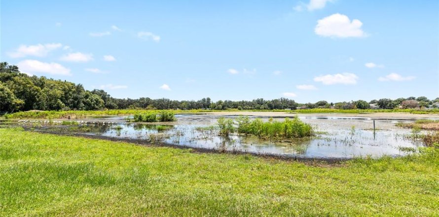 Terrain à Zephyrhills, Floride № 1908880
