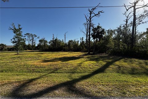 Terreno en venta en Port Charlotte, Florida № 1733089 - foto 5