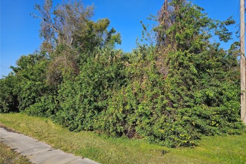 Land in North Port, Florida № 1652491 - photo 1