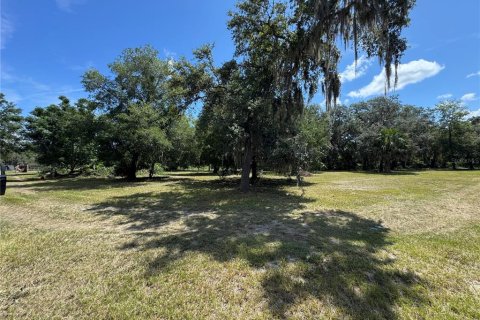 Villa ou maison à vendre à Pierson, Floride: 2 chambres, 98.85 m2 № 1689851 - photo 13