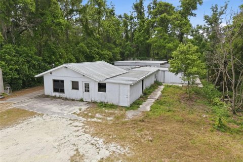 Immobilier commercial à vendre à Brooksville, Floride: 409.14 m2 № 2115080 - photo 4
