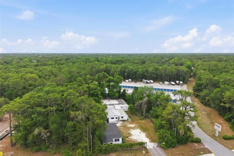 Immobilier commercial à vendre à Brooksville, Floride: 409.14 m2 № 2115080 - photo 30