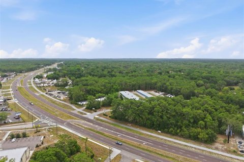 Immobilier commercial à vendre à Brooksville, Floride: 409.14 m2 № 2115080 - photo 15