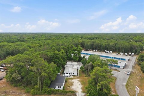 Immobilier commercial à vendre à Brooksville, Floride: 409.14 m2 № 2115080 - photo 29