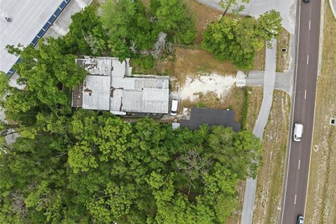 Immobilier commercial à vendre à Brooksville, Floride: 409.14 m2 № 2115080 - photo 11