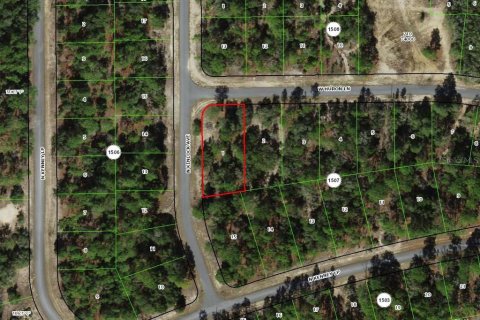 Land in Dunnellon, Florida № 2165588 - photo 2