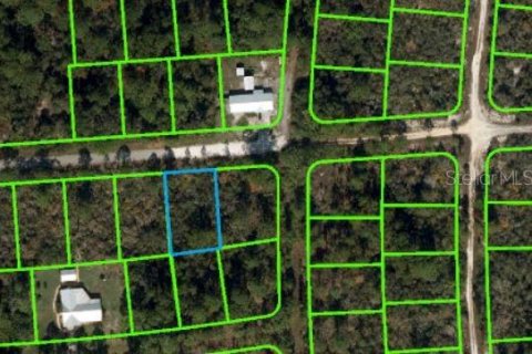 Land in Lake Placid, Florida № 2163981