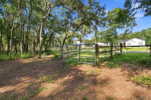 Villa ou maison à vendre à Webster, Floride: 3 chambres, 165.09 m2 № 2313271 - photo 27
