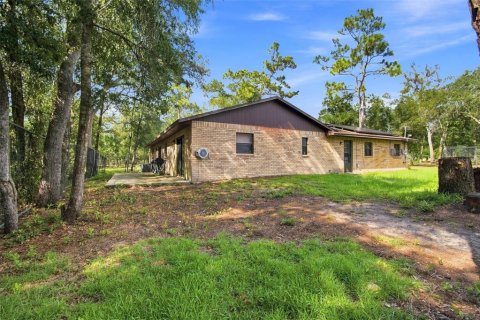 Villa ou maison à vendre à Webster, Floride: 3 chambres, 165.09 m2 № 2313271 - photo 20