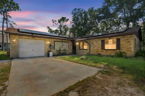 Villa ou maison à vendre à Webster, Floride: 3 chambres, 165.09 m2 № 2313271 - photo 3