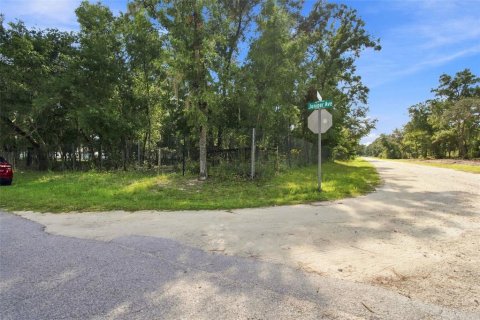 Villa ou maison à vendre à Webster, Floride: 3 chambres, 165.09 m2 № 2313271 - photo 29