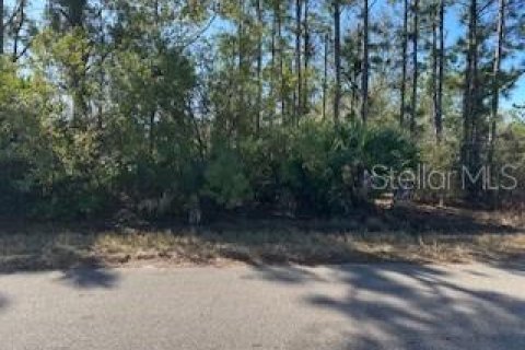 Land in Port Charlotte, Florida № 2161986
