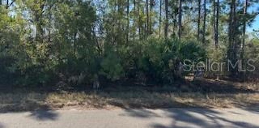 Land in Port Charlotte, Florida № 2161986