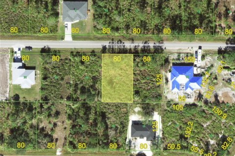 Land in Port Charlotte, Florida № 2161986 - photo 2