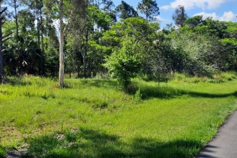 Land in Indian lake estates, Florida № 1689613 - photo 3