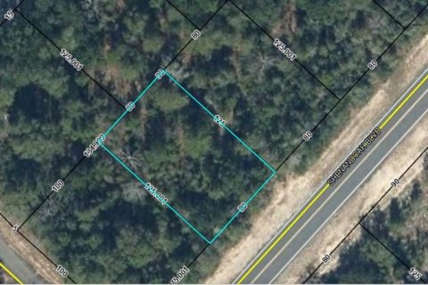 Land in Chipley, Florida № 2165218 - photo 4
