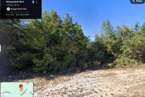 Land in Chipley, Florida № 2165218