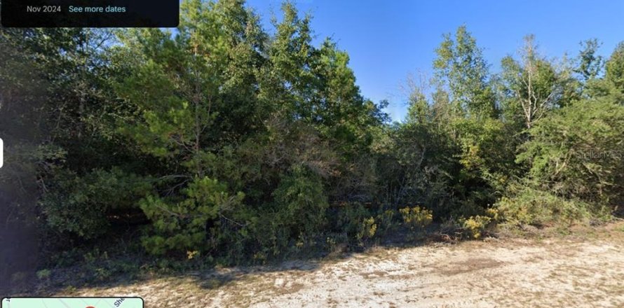 Land in Chipley, Florida № 2165218