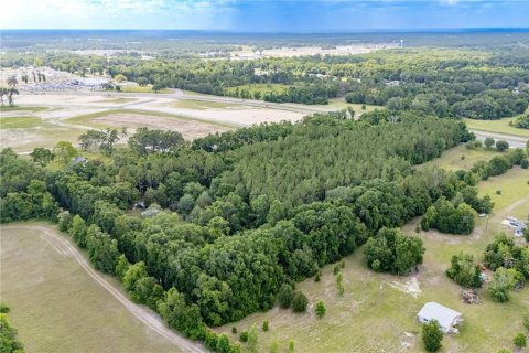 Land in Newberry, Florida № 1758189 - photo 14
