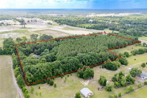 Land in Newberry, Florida № 1758189 - photo 12
