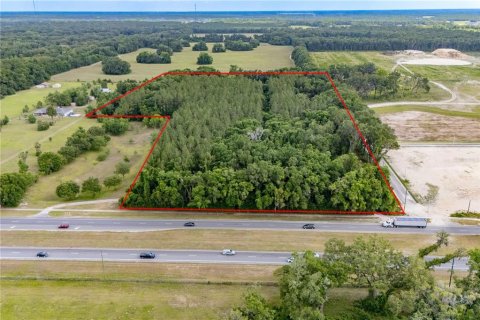 Land in Newberry, Florida № 1758189 - photo 18