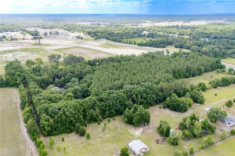 Land in Newberry, Florida № 1758189 - photo 13