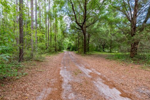Land in Newberry, Florida № 1758189 - photo 25