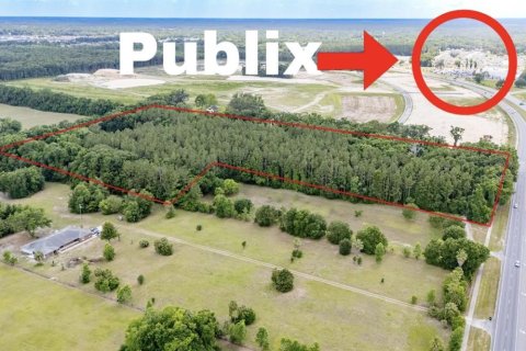 Land in Newberry, Florida № 1758189 - photo 2