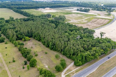 Land in Newberry, Florida № 1758189 - photo 6