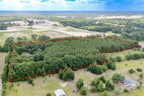 Land in Newberry, Florida № 1758189 - photo 10