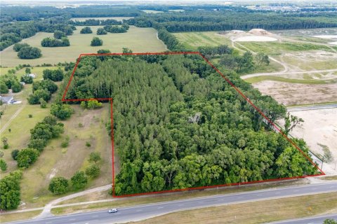 Land in Newberry, Florida № 1758189 - photo 5