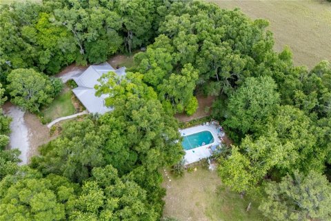 Land in Newberry, Florida № 1758189 - photo 29