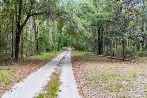 Land in Newberry, Florida № 1758189 - photo 27
