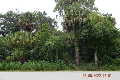 Terrain à North Port, Floride № 2216426