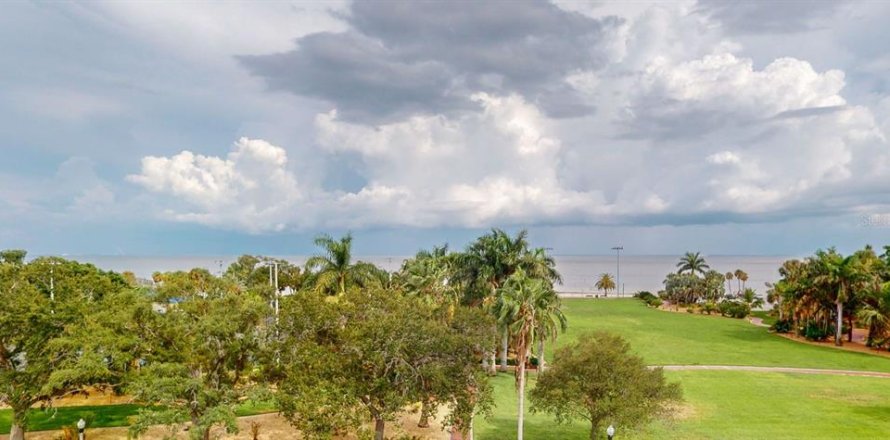 Condo à Saint Petersburg, Floride, 2 chambres  № 1840556