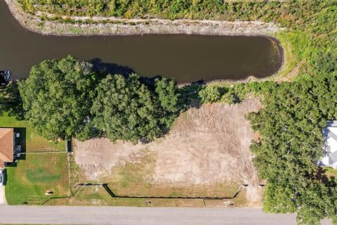 Terrain à vendre à Lutz, Floride № 2201423 - photo 6