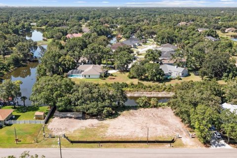 Land in Lutz, Florida № 2201423