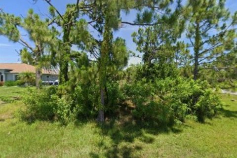 Land in Port Charlotte, Florida № 2163236