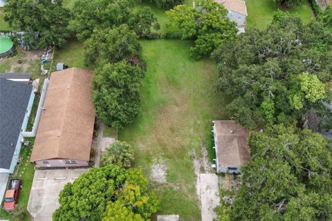 Land in Orlando, Florida № 1912490 - photo 2