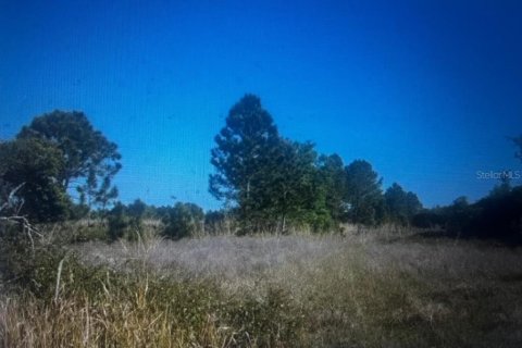 Land in Lorida, Florida № 2158707