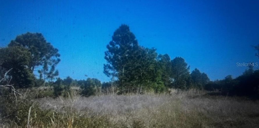 Land in Lorida, Florida № 2158707