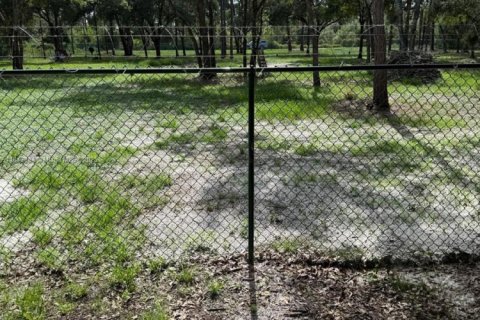 Land in Clewiston, Florida № 1839400 - photo 28