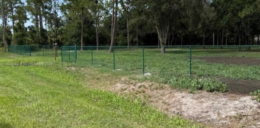 Land in Clewiston, Florida № 1839400
