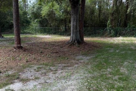 Land in Clewiston, Florida № 1839400 - photo 30