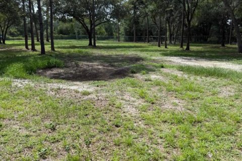 Land in Clewiston, Florida № 1839400 - photo 7